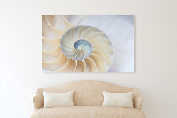 Contact fine art photographer and visual artist Elizabeth Hesp and have a conversation with her about your requests