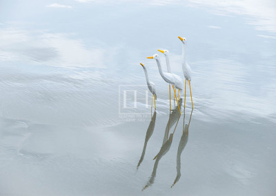 Interior Art Tidal Beach scene fine art photography by Canadian visual artist Elizabeth Hesp as interior art