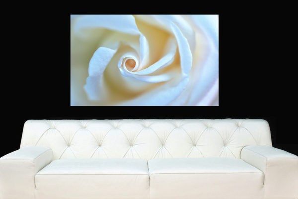 Interior art from Elizabeth Hesp Fine Art for interior designers and architects design projects.