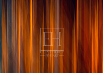 Soprano C Red fine art photography image from Motion Abstract limited edition series created by Canadian visual artist Elizabeth Hesp as interior art.